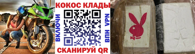 COCAIN FishScale Болотное