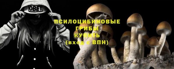 гидропоника Медвежьегорск