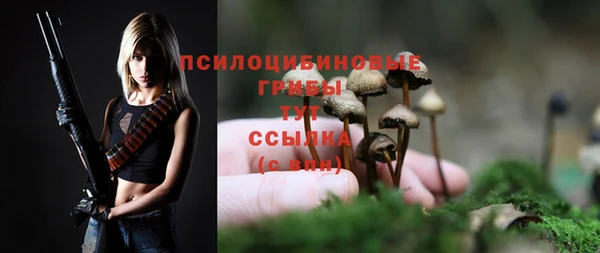 гидропоника Михайлов